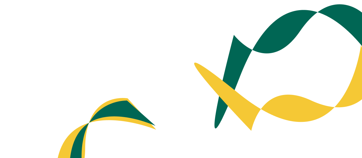 Expert Solutions for Corporate  Financial Success. - MKSPORTS体育APP