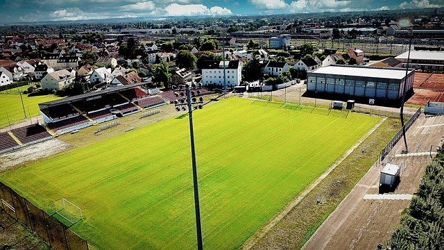 球带来的新 球带来的新