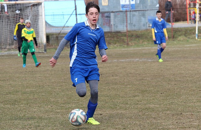 化的桥梁 化的桥梁