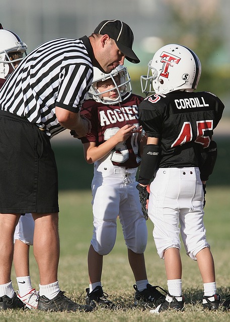 尔西提供参 尔西提供参