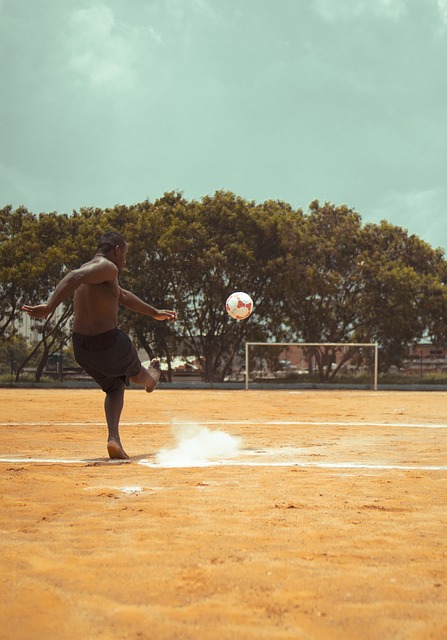 他们的实力 他们的实力