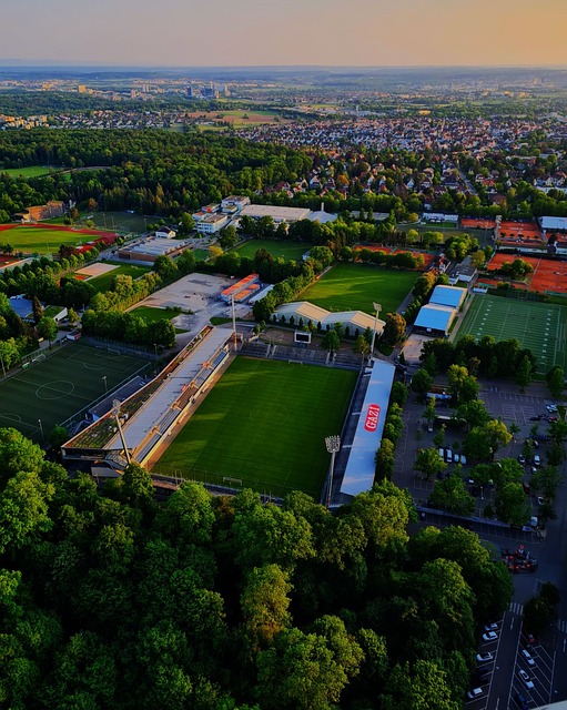 隊友支持不 隊友支持不