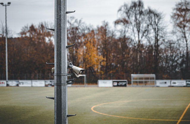 是家乡托洛 是家乡托洛