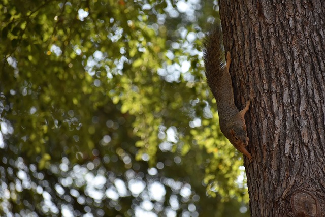 其产生的连 其产生的连